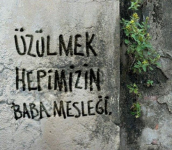 1646443049602.png