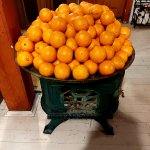 20220306_195333.jpg