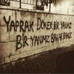7ABD32B5-8AAA-459A-AA7A-5583E6C83972.jpeg