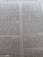 IMG_20220309_231528_148.jpg