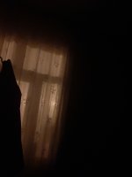 20220315_010734.jpg