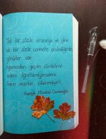 FB_IMG_1647951237209.jpg