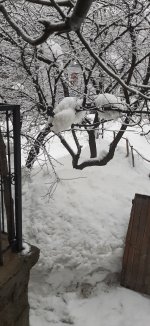 20220325_163748.jpg