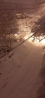 20220323_232248.jpg
