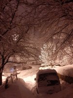 20220323_200930.jpg