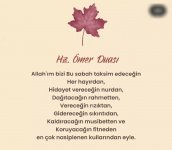 Screenshot_20220408-232835_Instagram.jpg