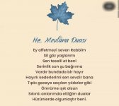 Screenshot_20220408-232810_Instagram.jpg