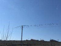 5A1AEA6D-CB5B-4BFE-8068-27B726650C78.jpeg