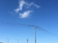 8AF4759B-1B45-4D47-862E-DE704F7E3C34.jpeg