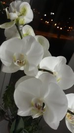 20220410_000949.jpg