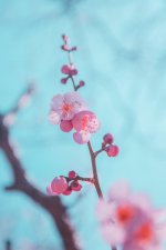 48A88082-7E21-45F6-AA5B-2021248997D2.jpeg