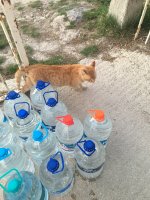 25C7673C-108D-4818-843B-D9C8EA51750B.jpeg