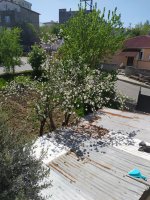 IMG_20220428_112330.jpg
