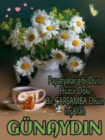24551efe51f59979a74230eafb457adc.jpg