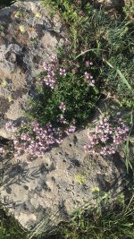 5DE14071-8C63-420D-BBCD-5F8710EBB0E8.jpeg
