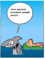 FB_IMG_1653557711625.jpg