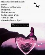 Screenshot_20220618-163124_Instagram.jpg