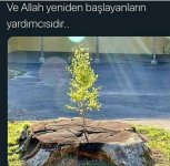 Screenshot_20220618-162509_Instagram.jpg