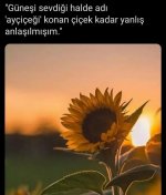 Screenshot_20220618-162324_Instagram.jpg