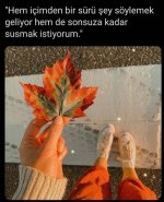 Screenshot_20220618-161929_Instagram.jpg