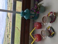 554E9813-B326-4FE4-BCCC-7CE541AE8502.jpeg