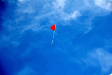 image-21.png image-21.png