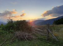 8CF0E320-C98D-45DA-B332-6CF3FF444E13.jpeg