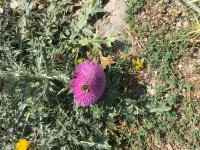 C69D9494-FFD0-4955-BD97-55812609E594.jpeg