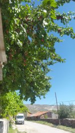 EF940DF0-CF4C-4BD7-9CEF-0AEC99212FC1.jpeg