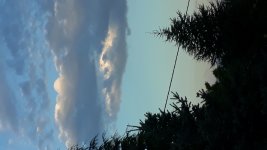 20220821_191049.jpg