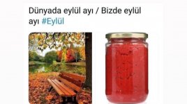 Screenshot_20220907-231730_Instagram.jpg