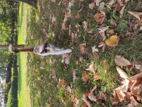 IMG_20220920_153503.jpg