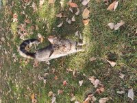 IMG_20220920_153439.jpg