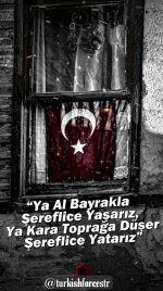 Picsart_22-07-07_14-30-28-244.jpg