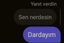 S21105-23331651(1).png