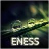 ENESS