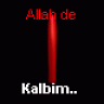 ŞAKİRT2