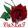 VuSL@T