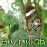 Bi_iznillah