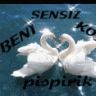 AdresiYokkiEceleGitsem