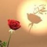 ~Emine'~