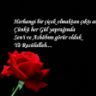 mikail_51