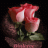 --seheryeli--