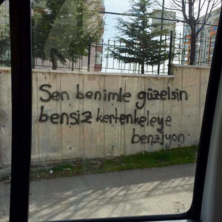 YkZ0l6.jpg