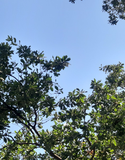 20211013-015901.jpg