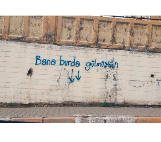 ozlemek_764529.png