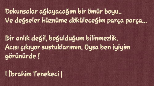 tumblr_mvaqg7Kklr1sof1quo1_500.png
