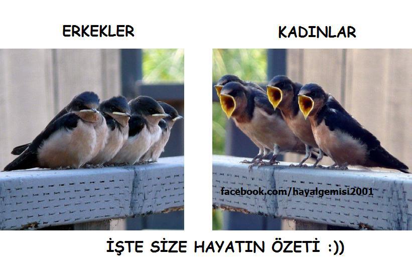 DLIaK.jpg