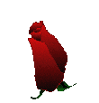 gul.gif