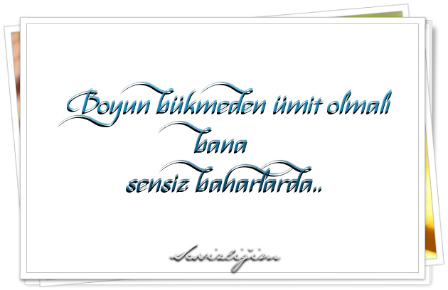 ZFZT6Yg.jpg